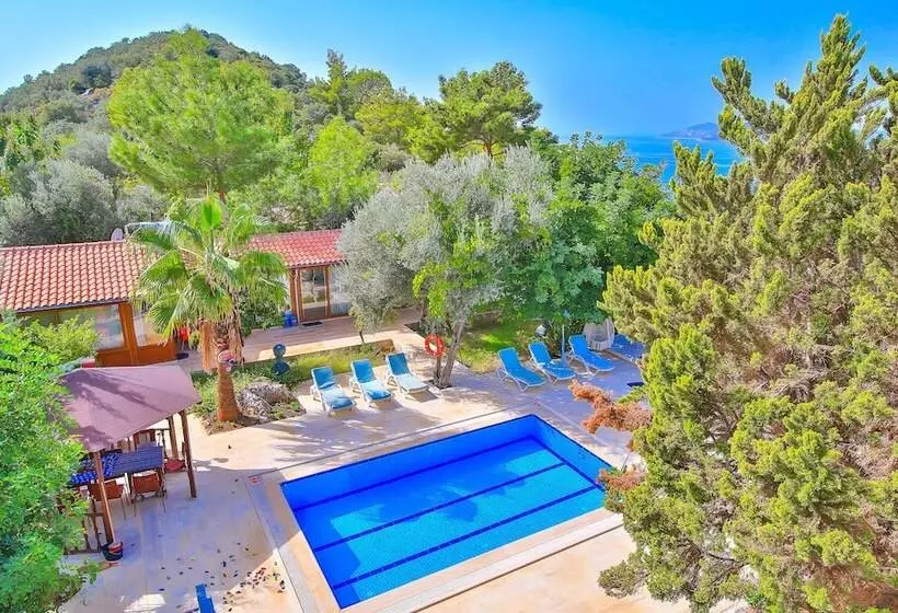 Villa Dundar   Kas Apartments