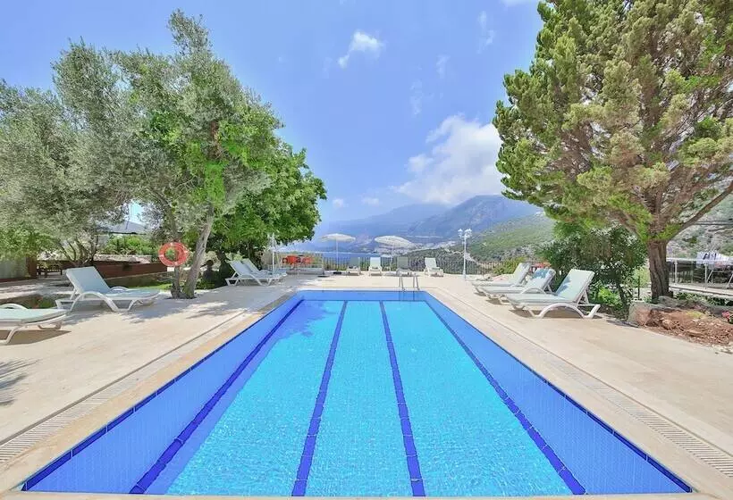 Villa Dundar   Kas Apartments