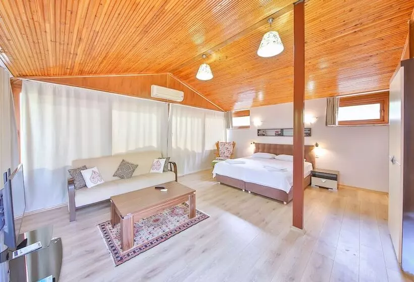 Villa Dundar   Kas Apartments