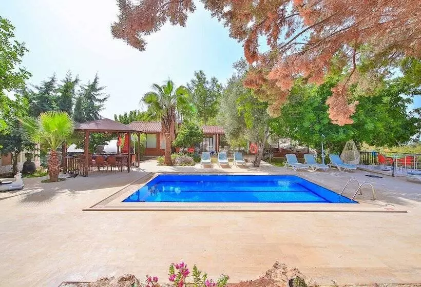 Villa Dundar   Kas Apartments