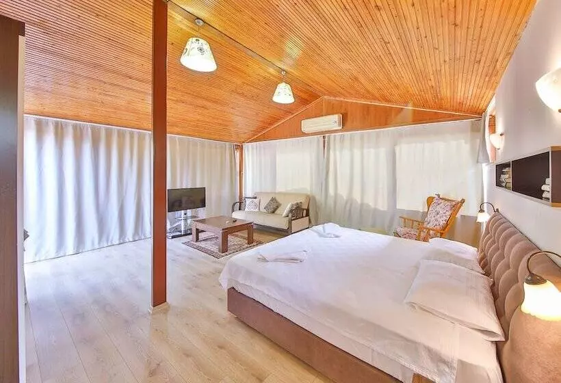 Villa Dundar   Kas Apartments