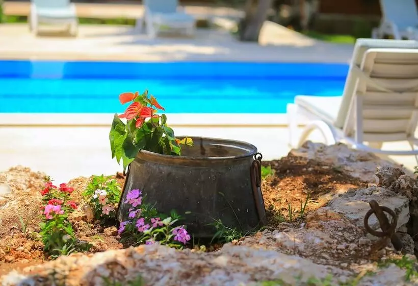 Villa Dundar   Kas Apartments