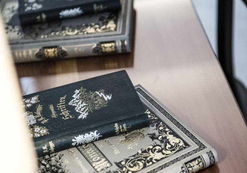 Boutique & Gourmet Hotel Orso Grigio