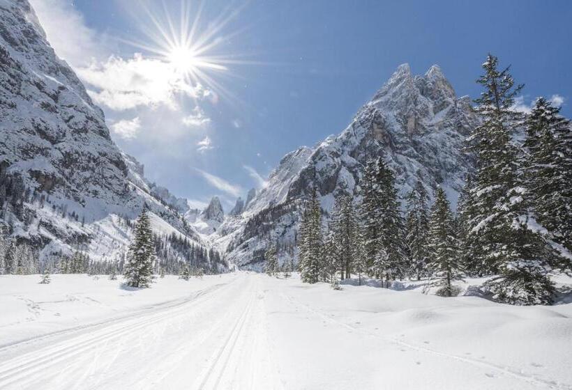 Boutique & Gourmet Hotel Orso Grigio