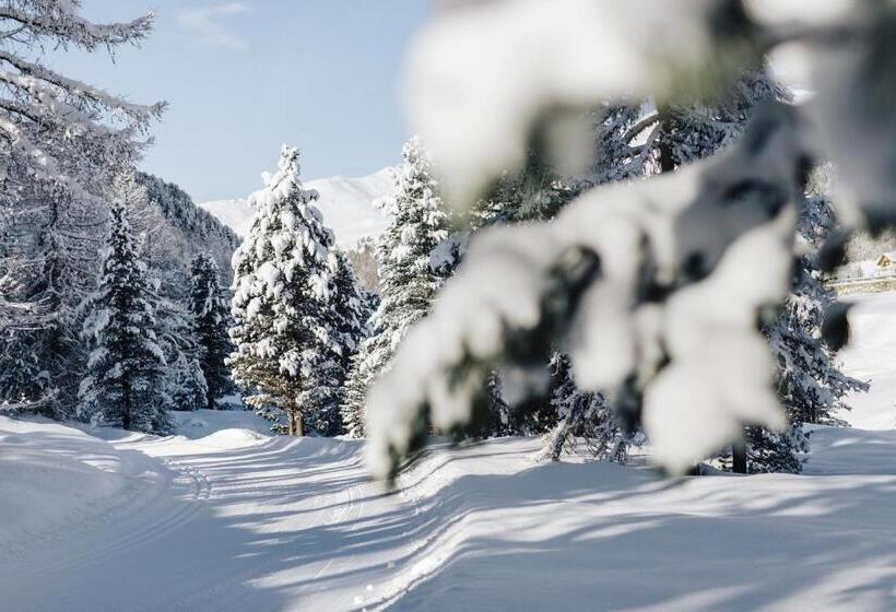 Boutique & Gourmet Hotel Orso Grigio