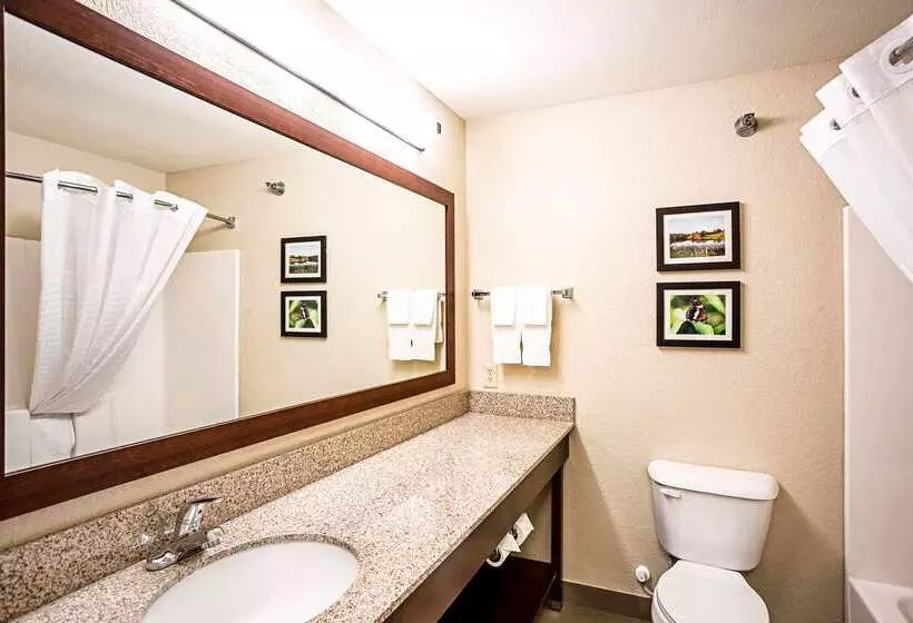 Отель Comfort Inn & Suites Independence