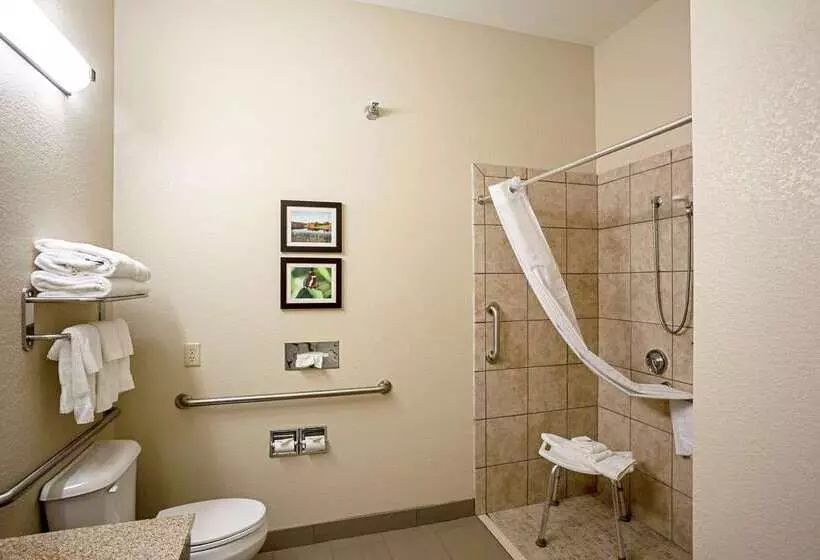 Отель Comfort Inn & Suites Independence