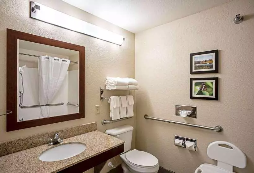 Отель Comfort Inn & Suites Independence