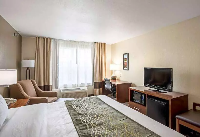 Отель Comfort Inn & Suites Independence