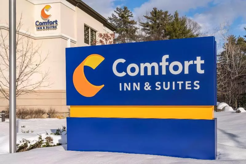 Otel Comfort Inn & Suites Lake George