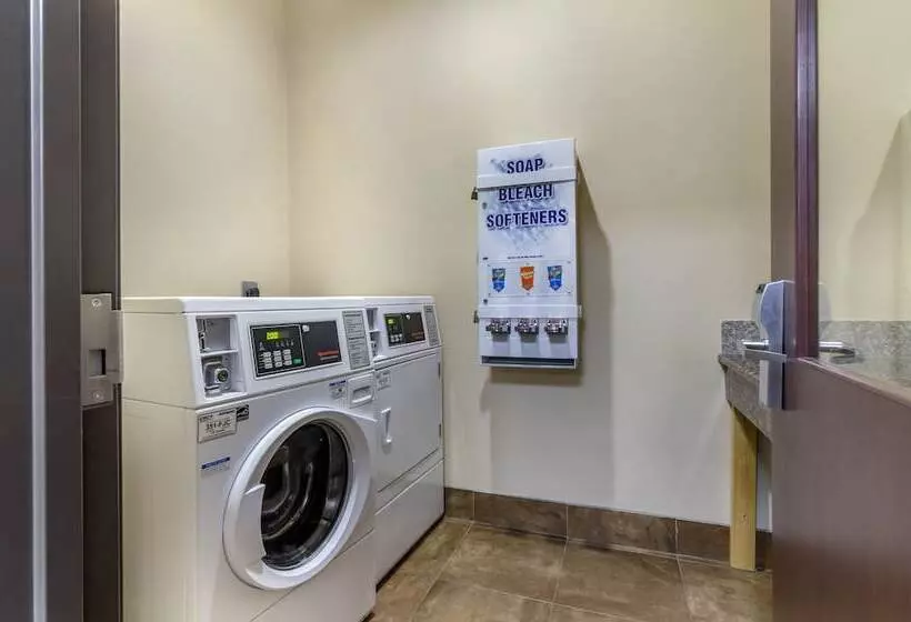 호텔 Comfort Inn & Suites Near Bethel College