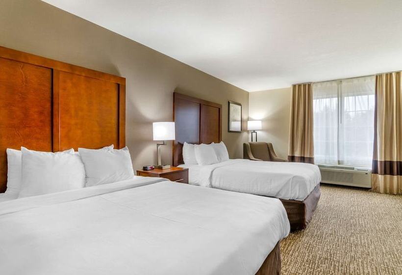酒店 Comfort Inn & Suites Near Bethel College