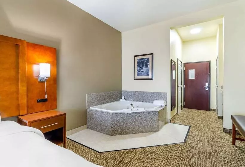 호텔 Comfort Inn & Suites Near Bethel College