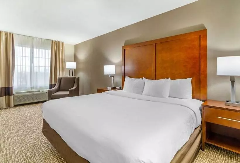 호텔 Comfort Inn & Suites Near Bethel College