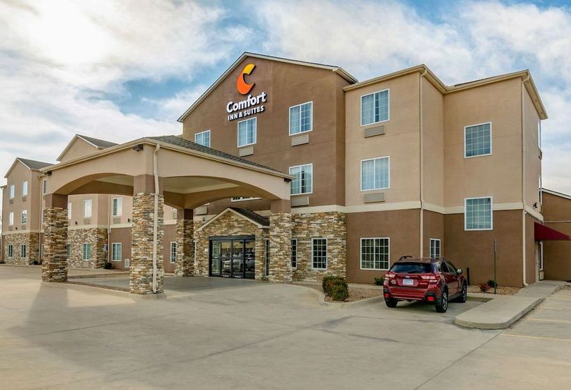 酒店 Comfort Inn & Suites Near Bethel College