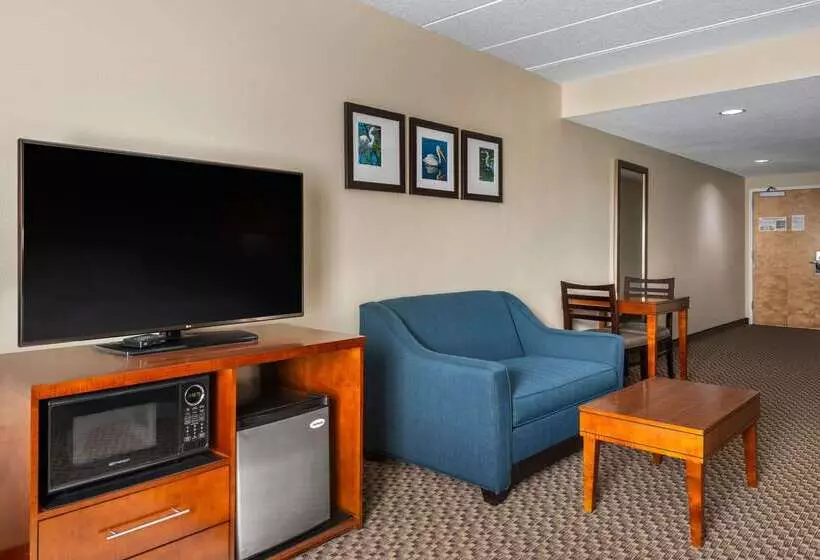 ホテル Comfort Inn & Suites Wildwood The Villages