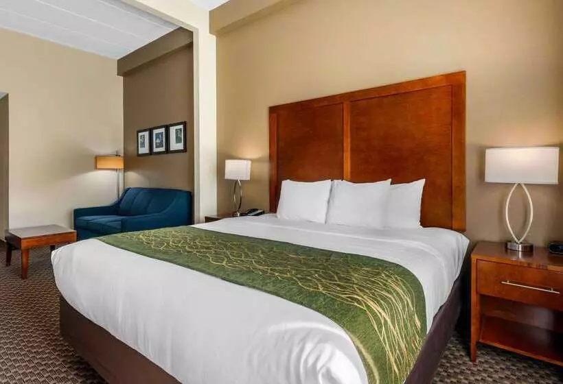 ホテル Comfort Inn & Suites Wildwood The Villages