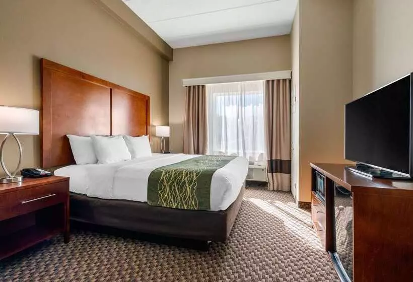 ホテル Comfort Inn & Suites Wildwood The Villages
