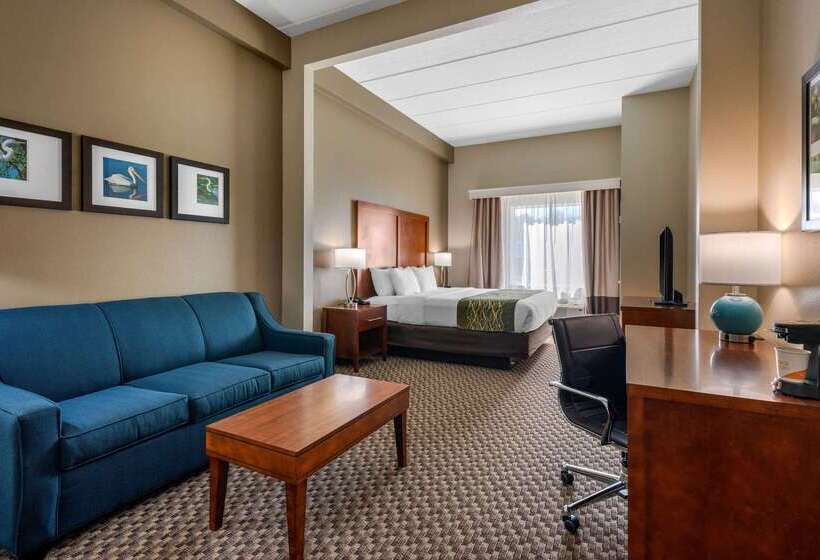 ホテル Comfort Inn & Suites Wildwood The Villages