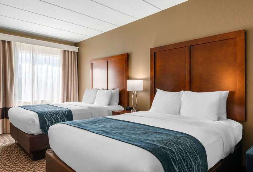 ホテル Comfort Inn & Suites Wildwood The Villages