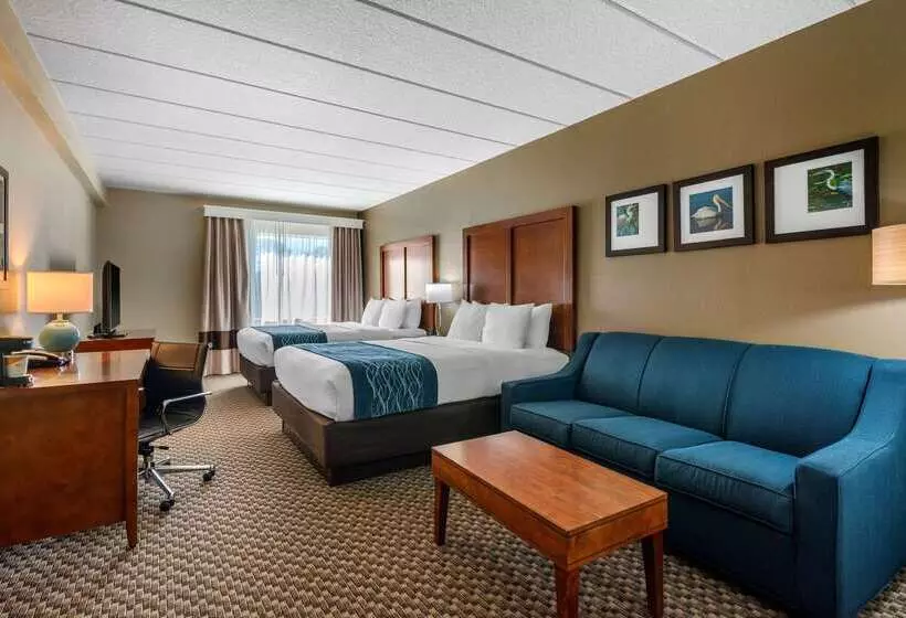 ホテル Comfort Inn & Suites Wildwood The Villages