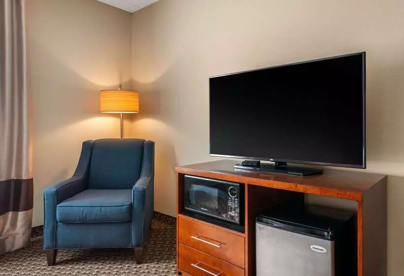ホテル Comfort Inn & Suites Wildwood The Villages