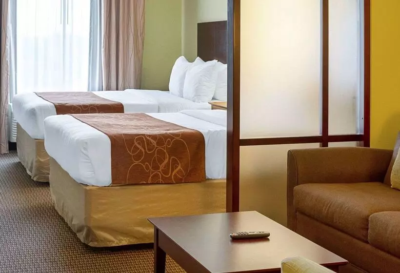 酒店 Comfort Suites Harvey   New Orleans West