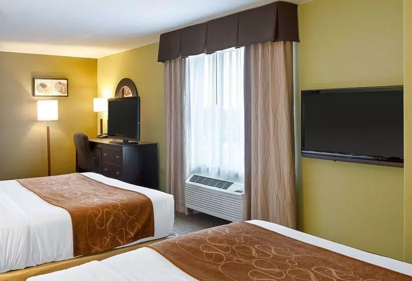 酒店 Comfort Suites Harvey   New Orleans West