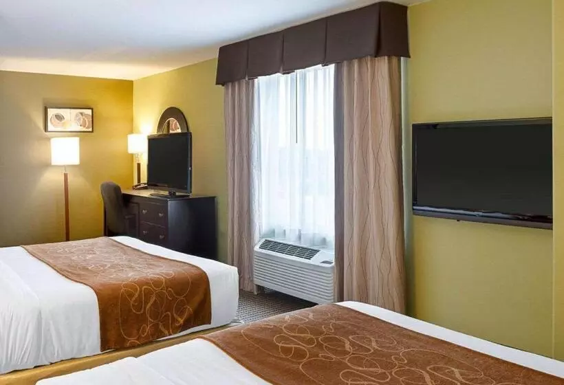 酒店 Comfort Suites Harvey   New Orleans West