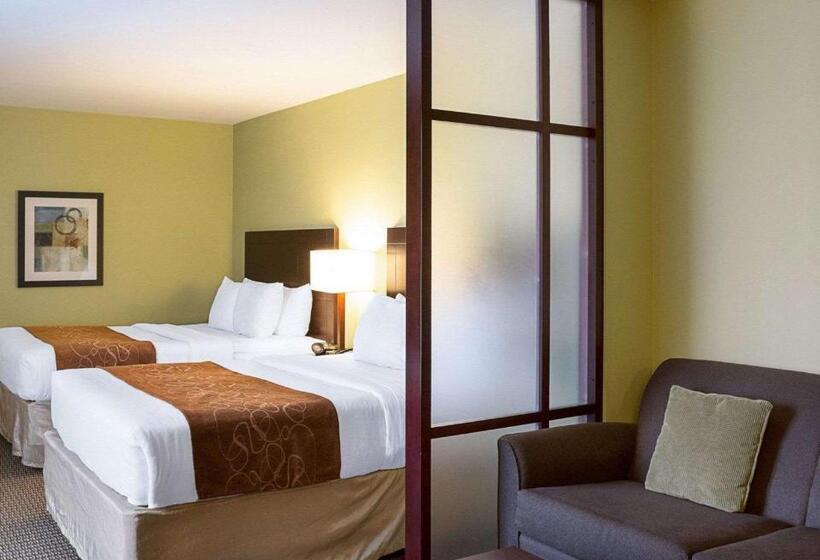 酒店 Comfort Suites Harvey   New Orleans West