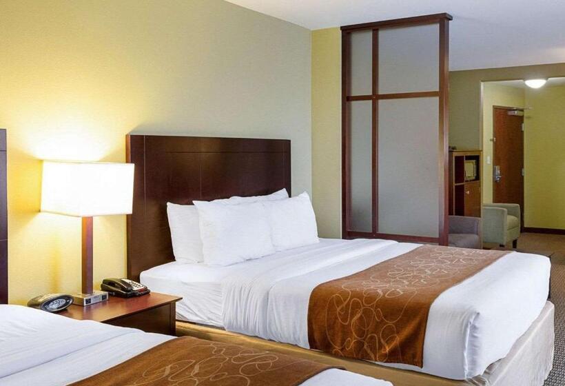 酒店 Comfort Suites Harvey   New Orleans West