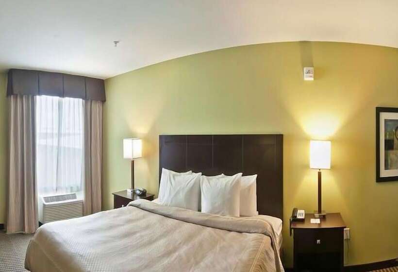 酒店 Comfort Suites Harvey   New Orleans West