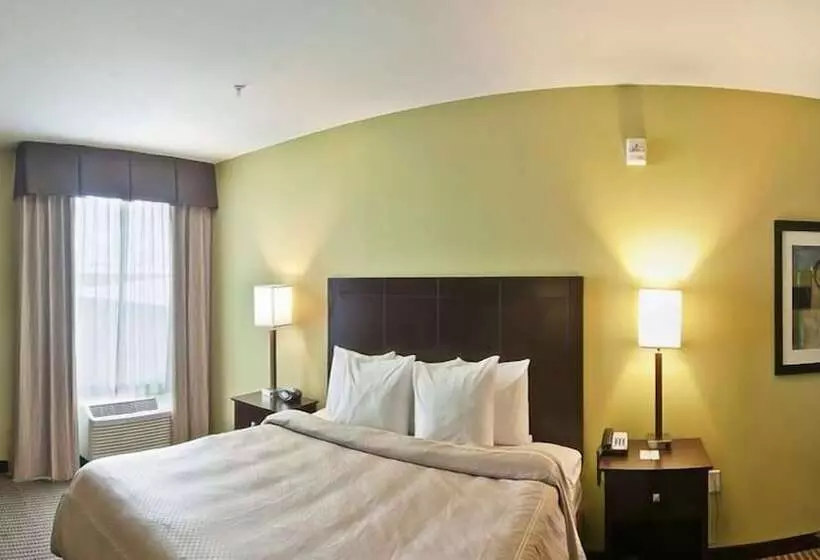 酒店 Comfort Suites Harvey   New Orleans West