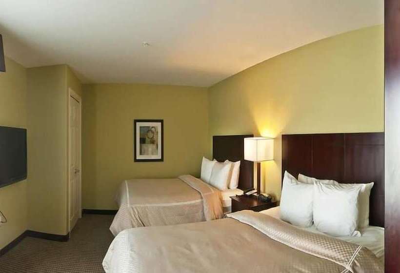 酒店 Comfort Suites Harvey   New Orleans West