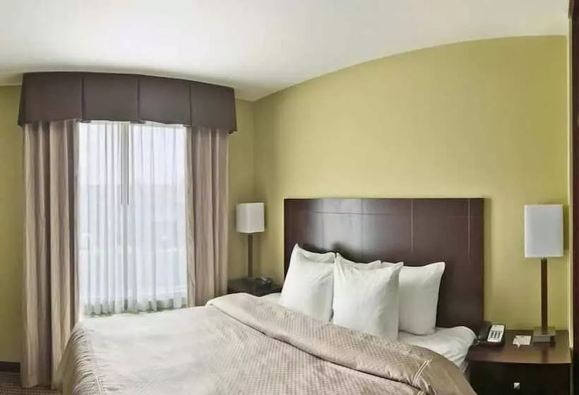 酒店 Comfort Suites Harvey   New Orleans West