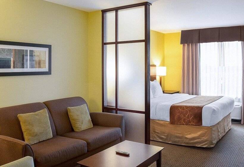 酒店 Comfort Suites Harvey   New Orleans West