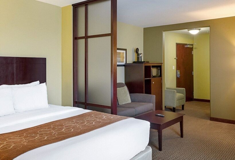 酒店 Comfort Suites Harvey   New Orleans West