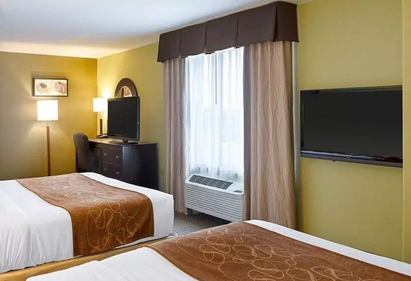 酒店 Comfort Suites Harvey   New Orleans West