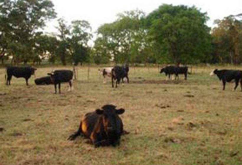 호텔 Estancia La Morena