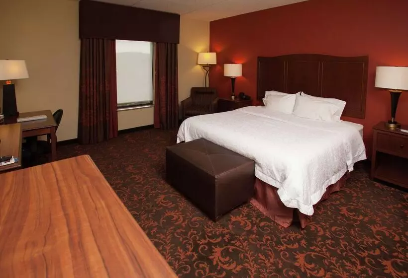 ホテル Hampton Inn Elmira/horseheads