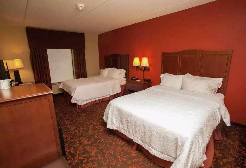 ホテル Hampton Inn Elmira/horseheads