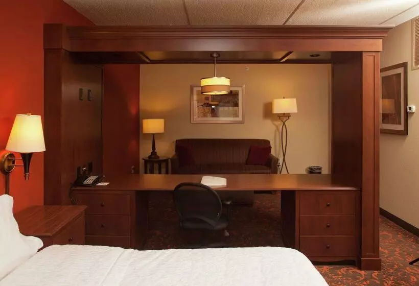 ホテル Hampton Inn Elmira/horseheads