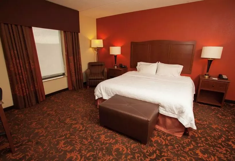 ホテル Hampton Inn Elmira/horseheads