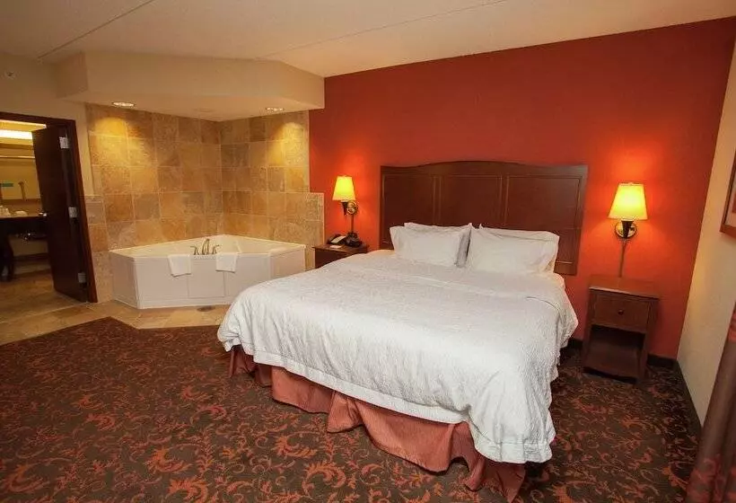 ホテル Hampton Inn Elmira/horseheads