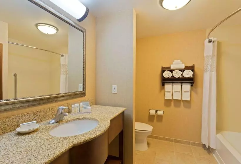 호텔 Hampton Inn Leesburg/tavares