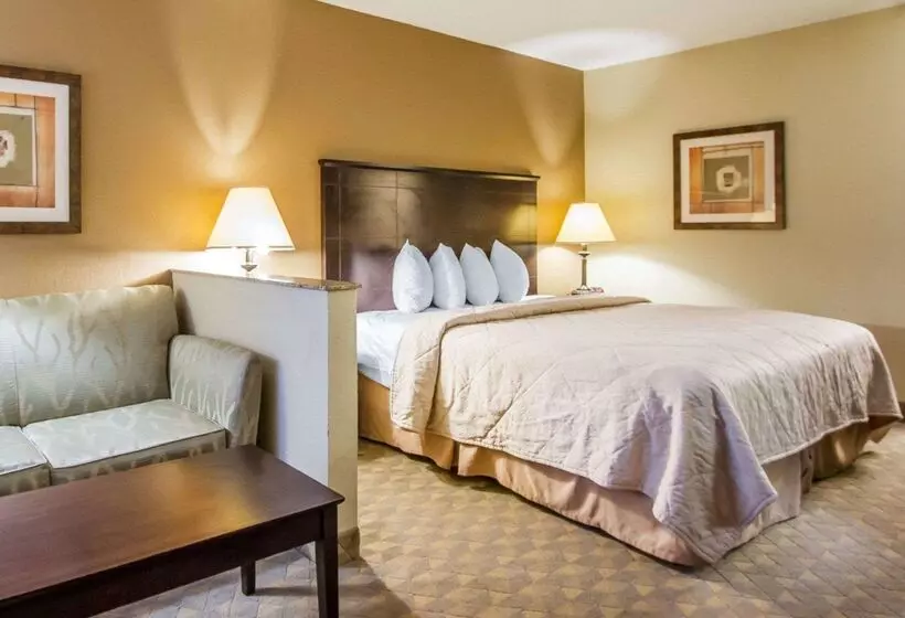 ホテル Quality Inn & Suites Greenville I65