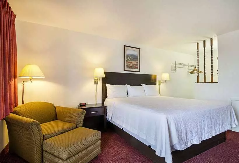 ホテル Rodeway Inn