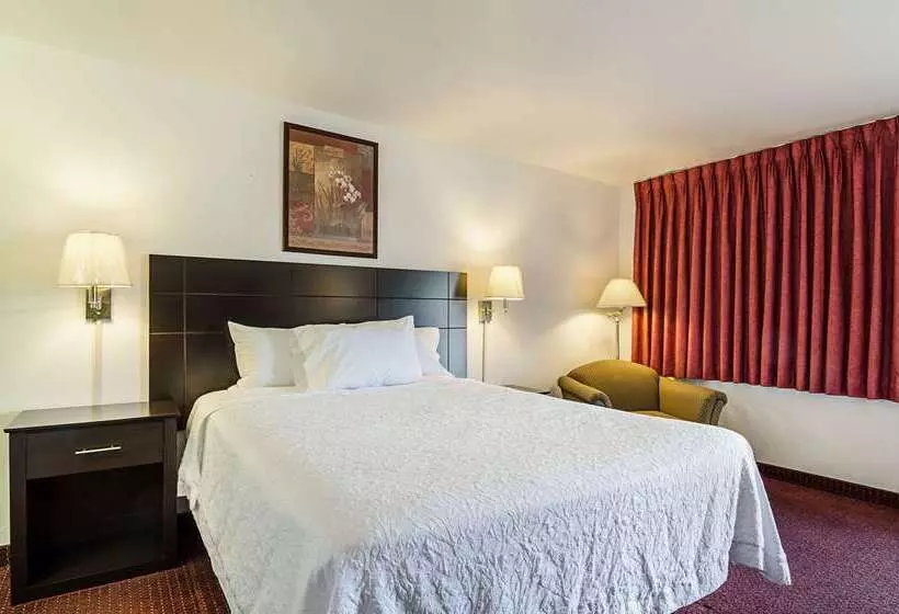 ホテル Rodeway Inn