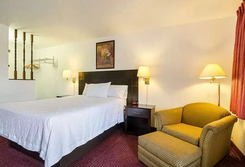 ホテル Rodeway Inn