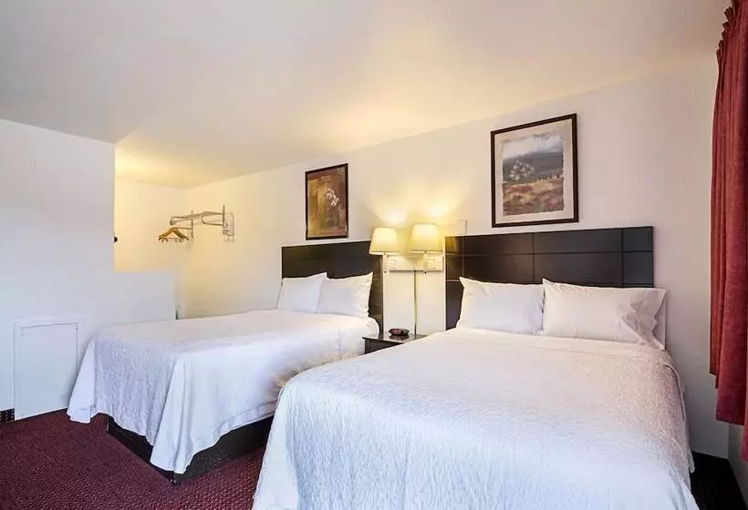 ホテル Rodeway Inn